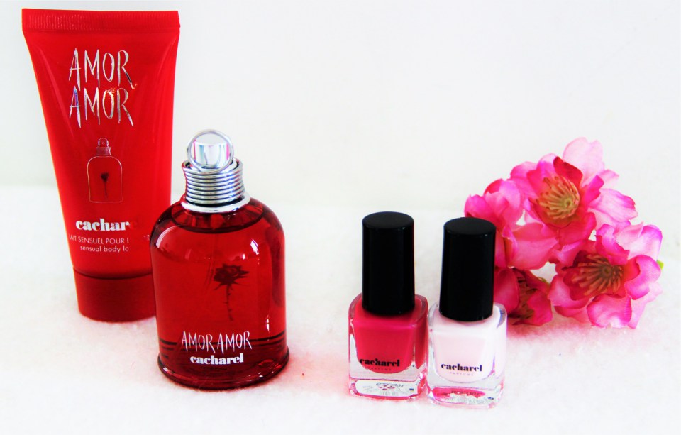 Amor Amor