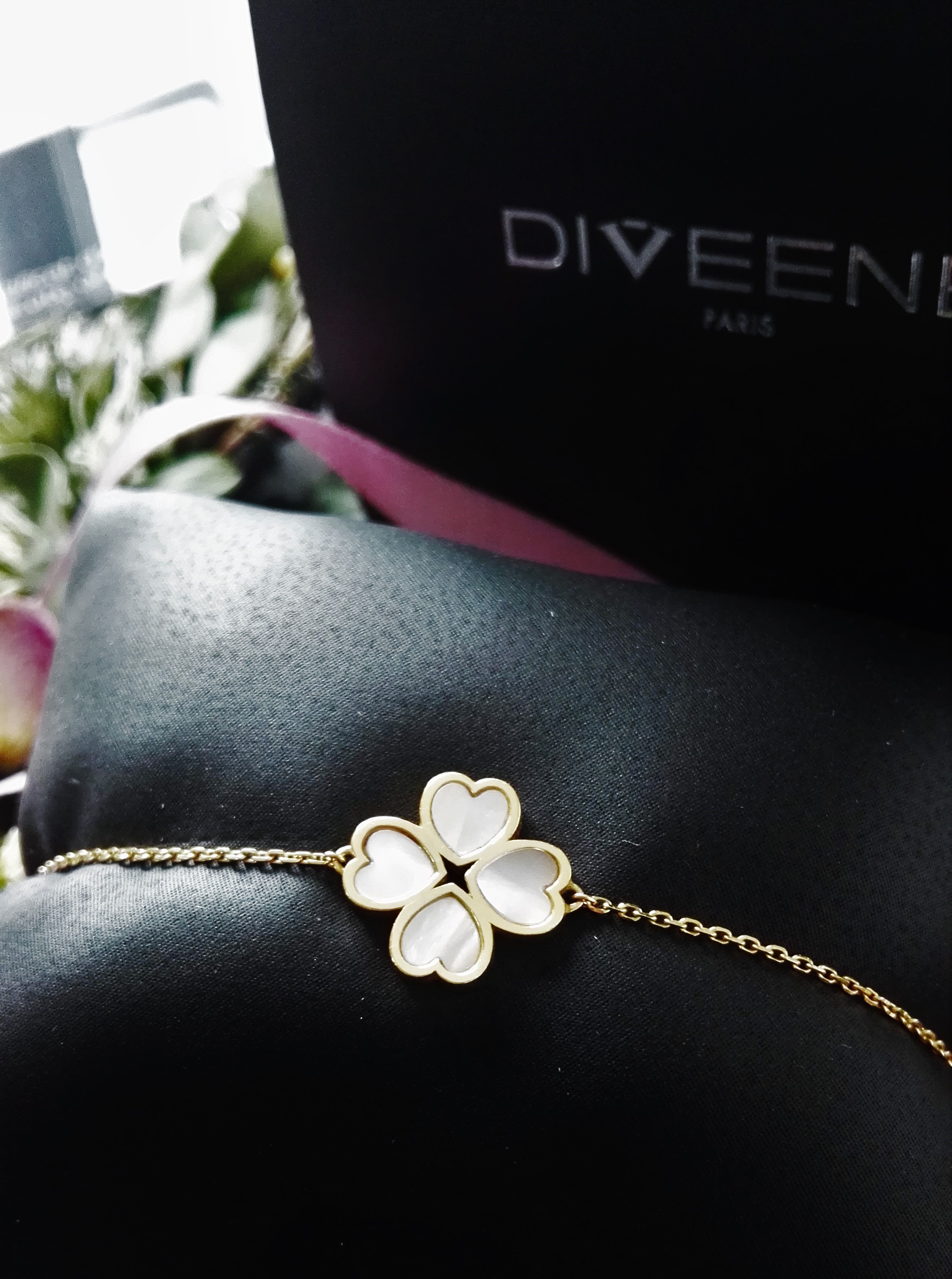 Diveene