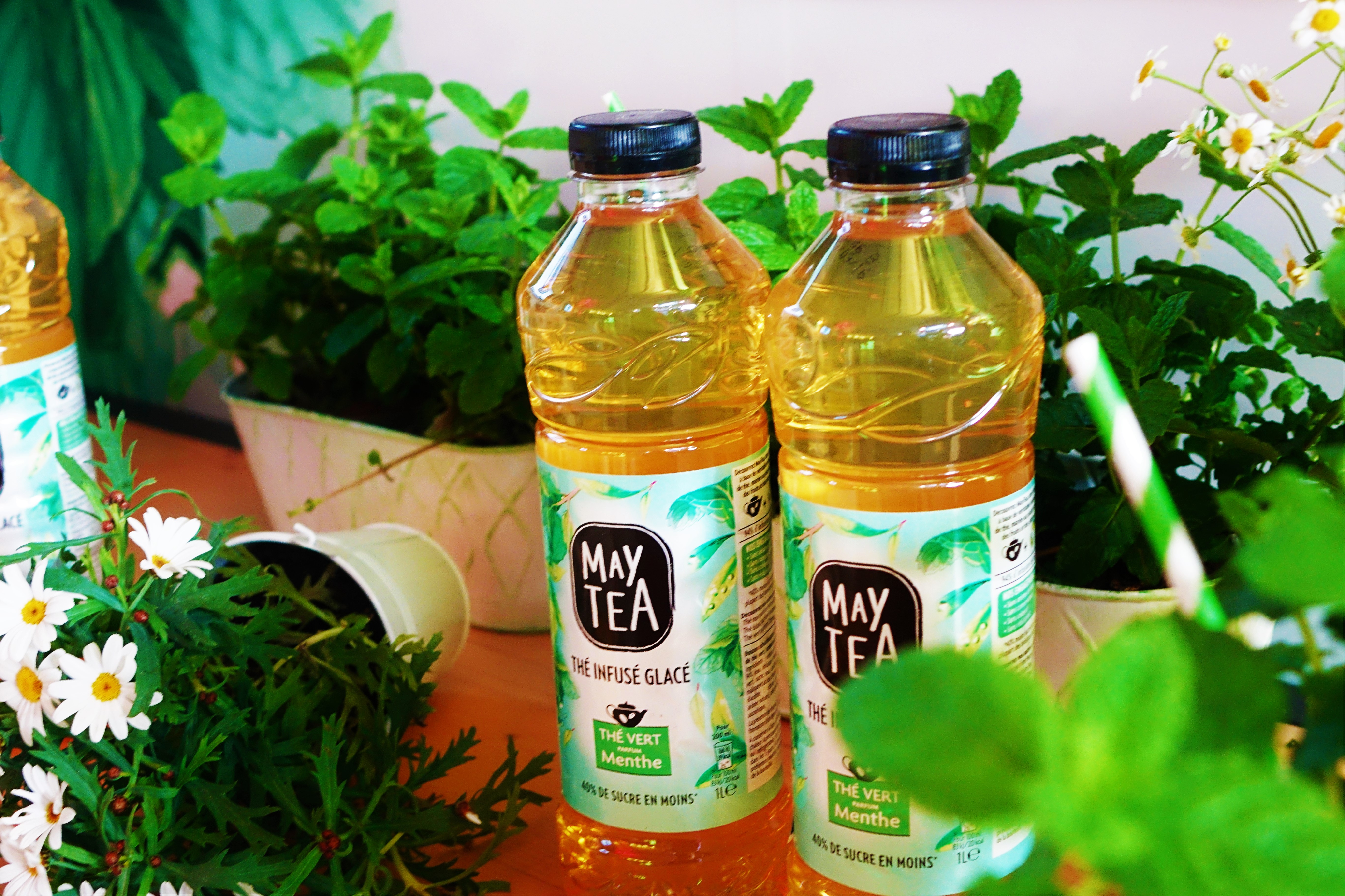 Maytea