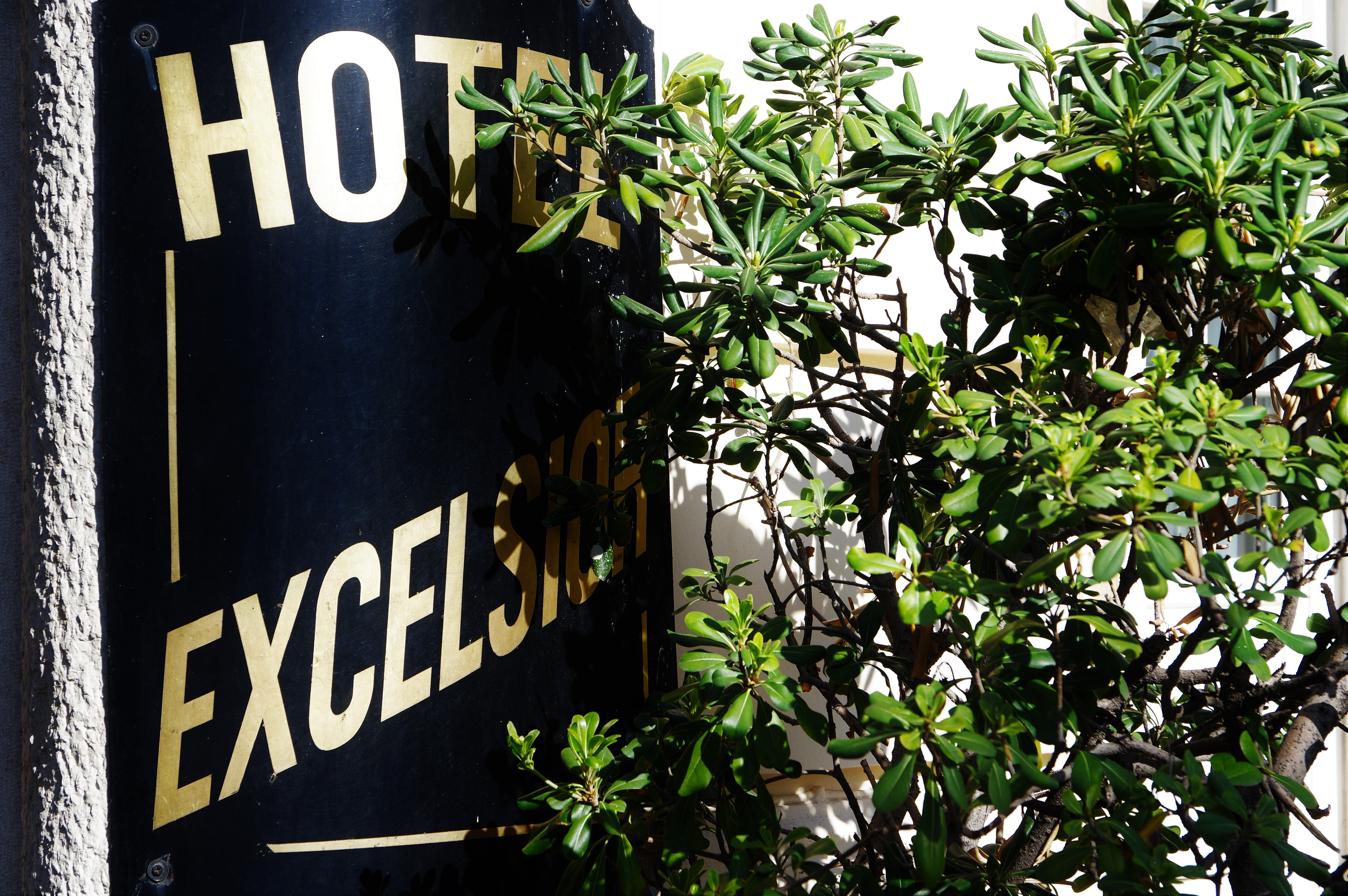 Nice Excelsior