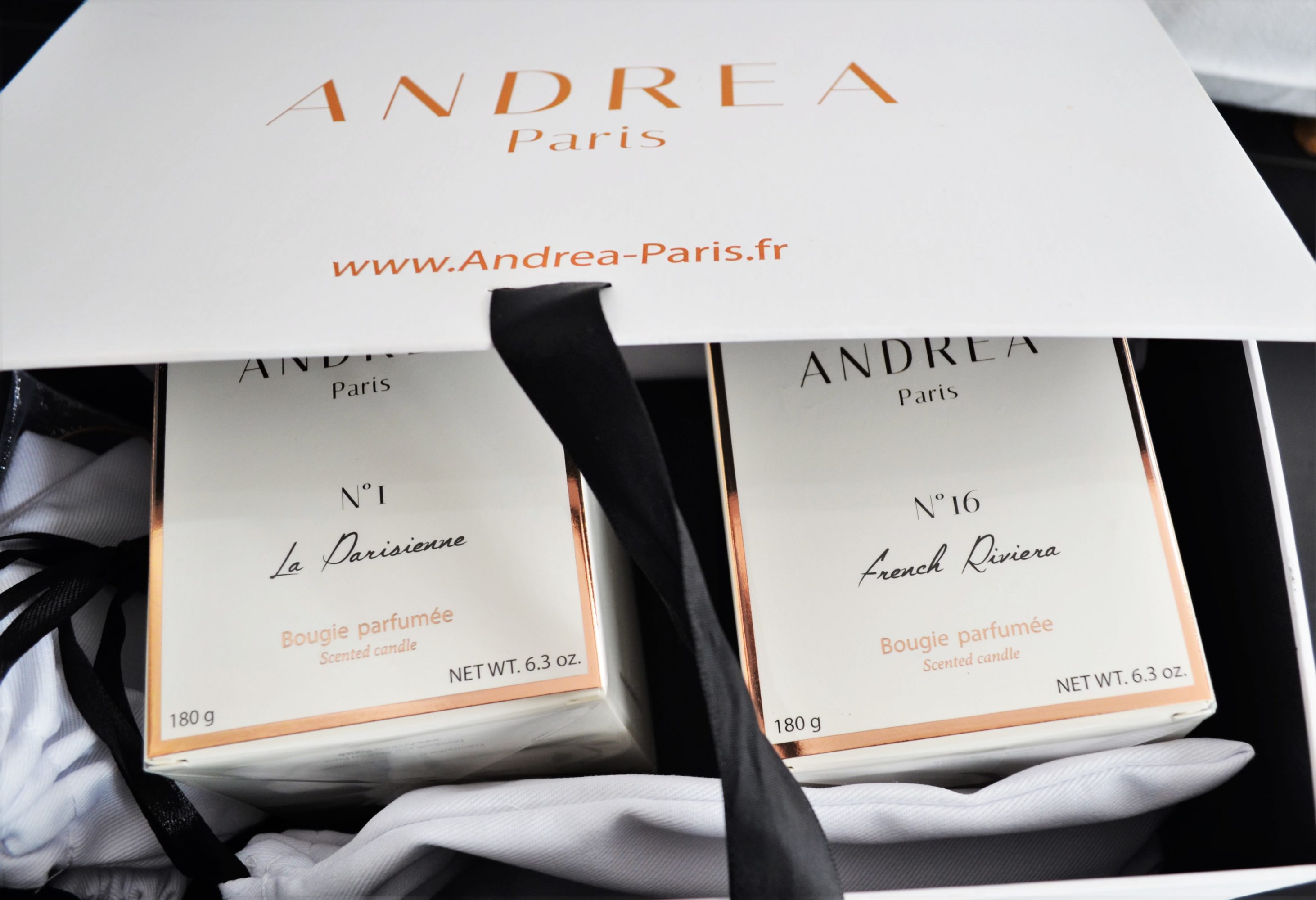 Andrea paris
