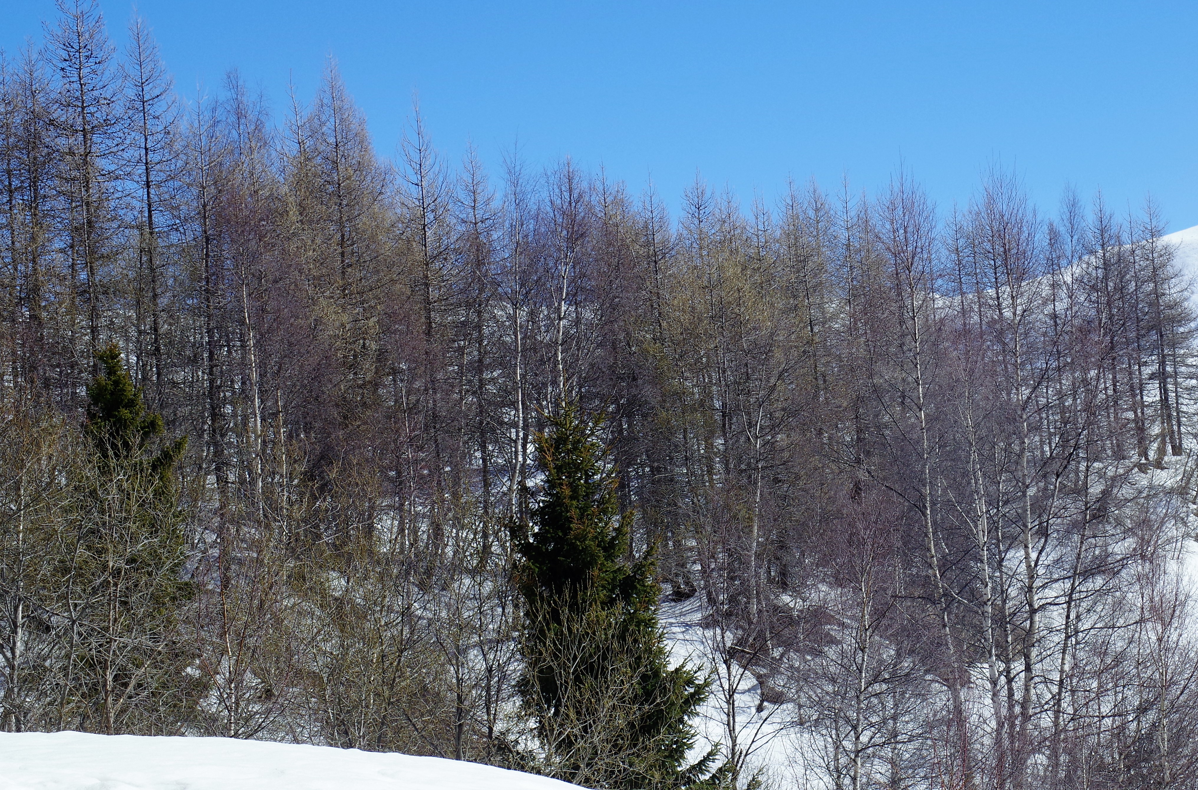 Alpe d'Huez