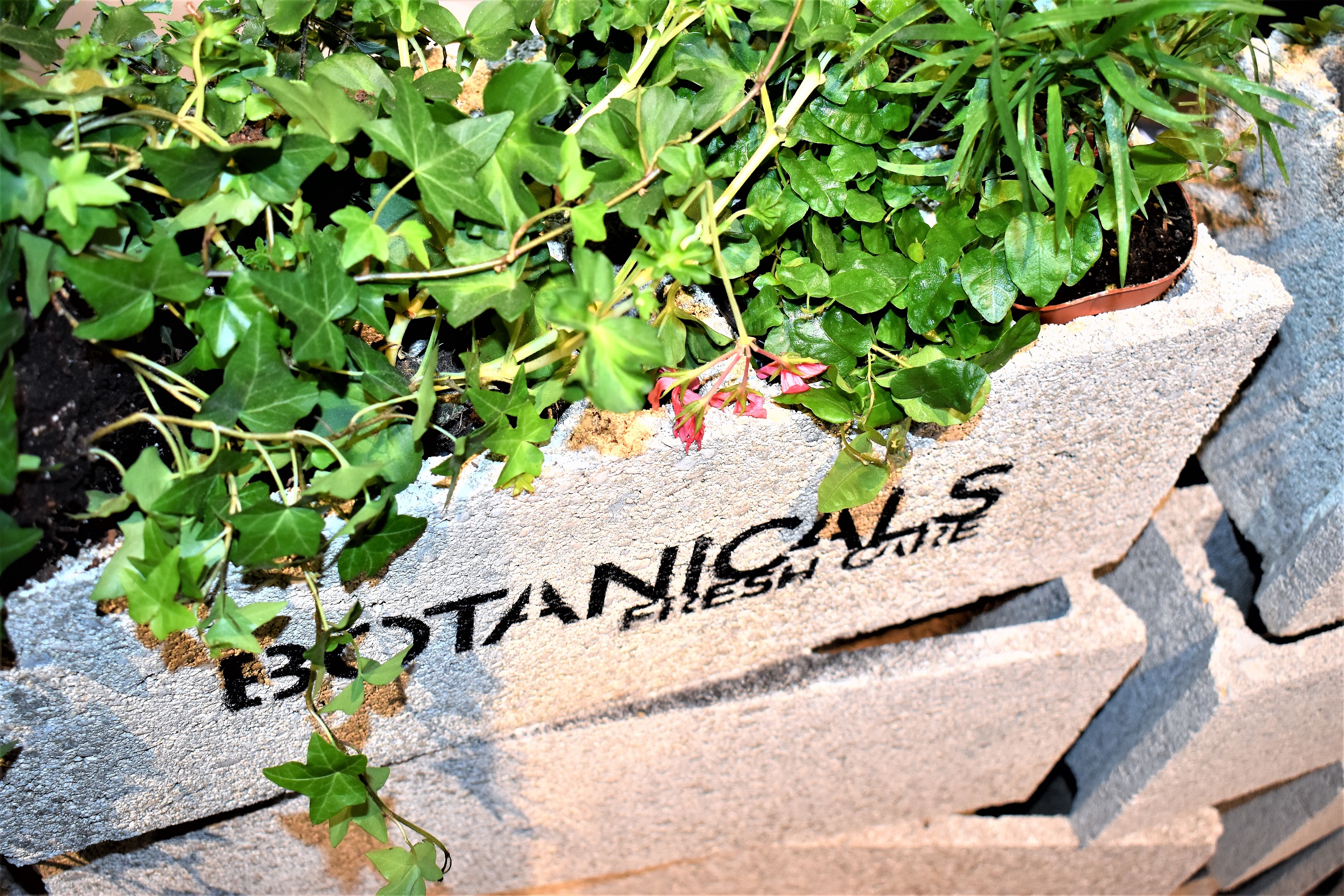 Botanicals Fresh Care