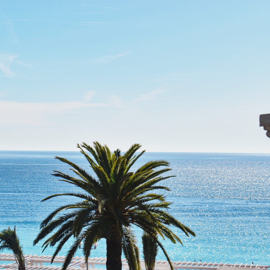 Le Negresco Nice