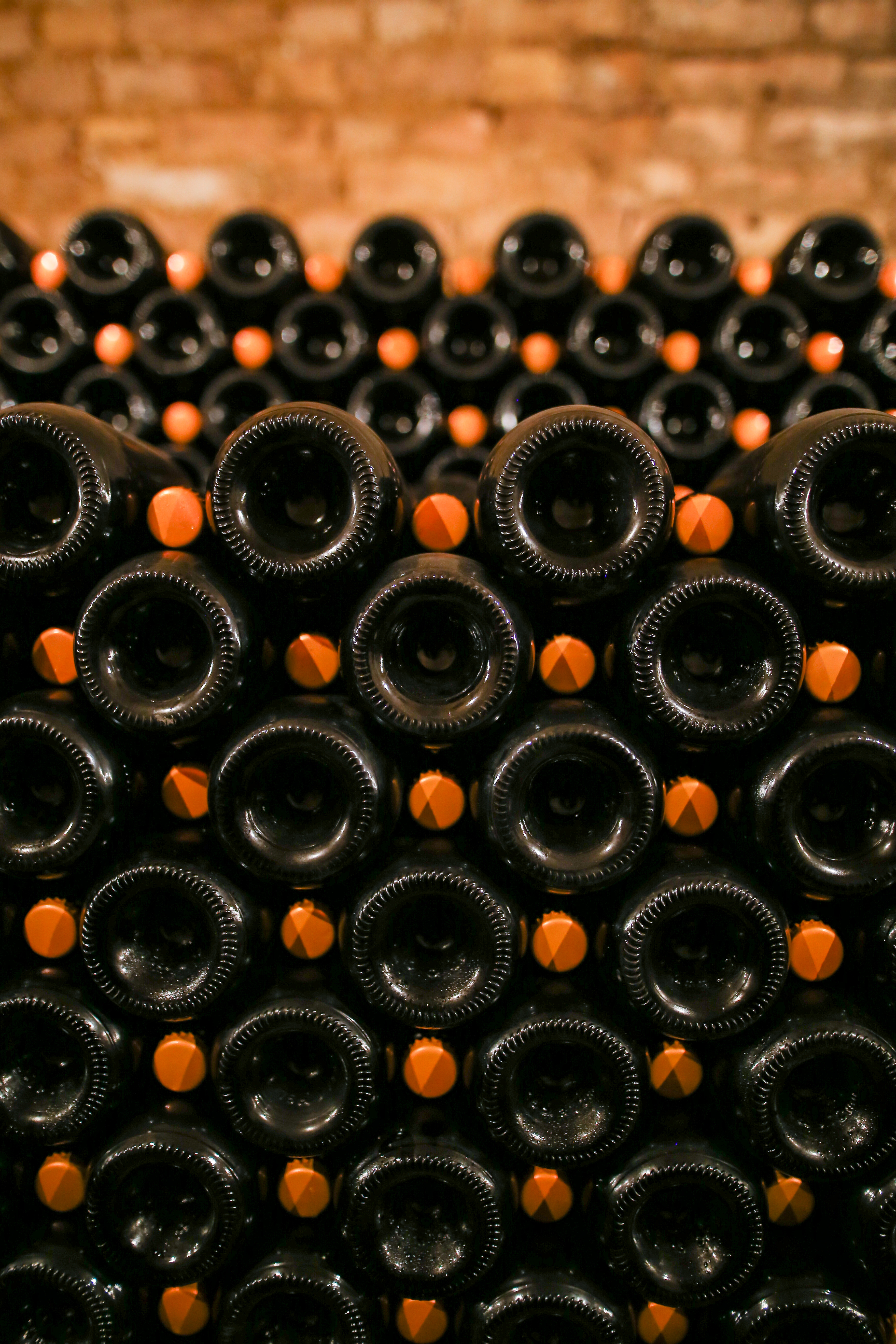 champagne cattier